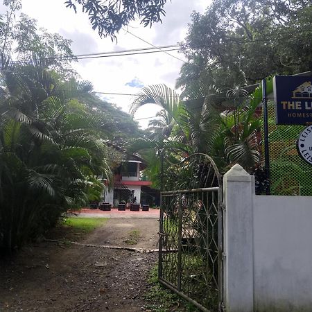 The Leisure Home Stay Shadipur 外观 照片
